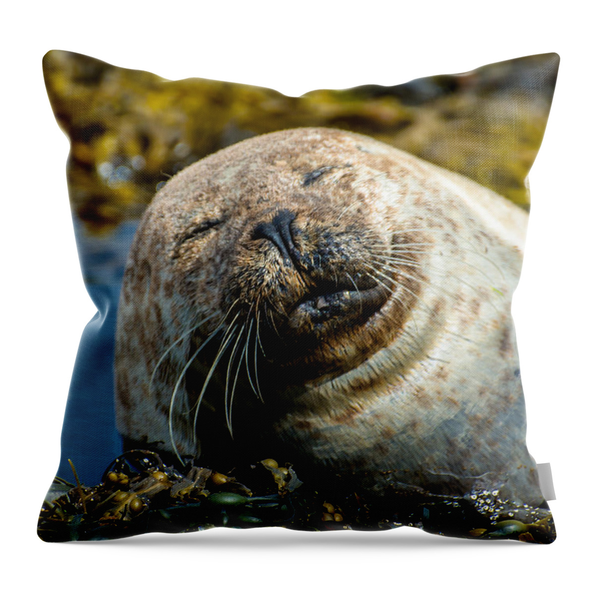 Seal Throw Pillow featuring the photograph Happy Seal Relaxing In The Seaweed by Andreas Berthold