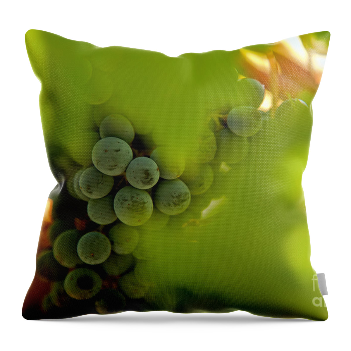 Abstract Throw Pillow featuring the photograph Harvest Season 2 by Jonathan Nguyen