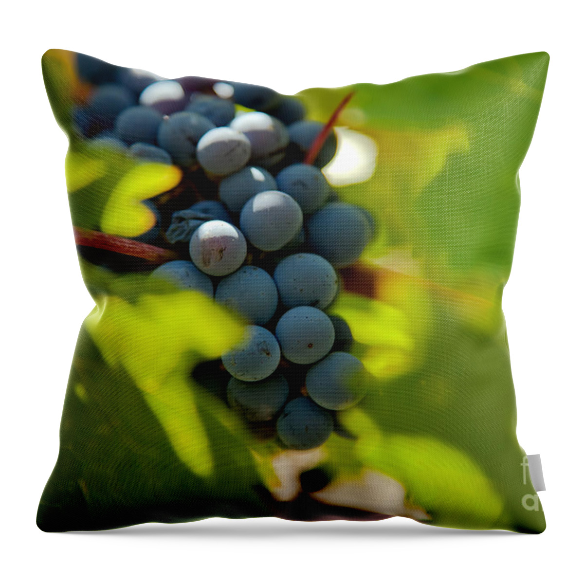 Abstract Throw Pillow featuring the photograph Harvest Season 3 by Jonathan Nguyen