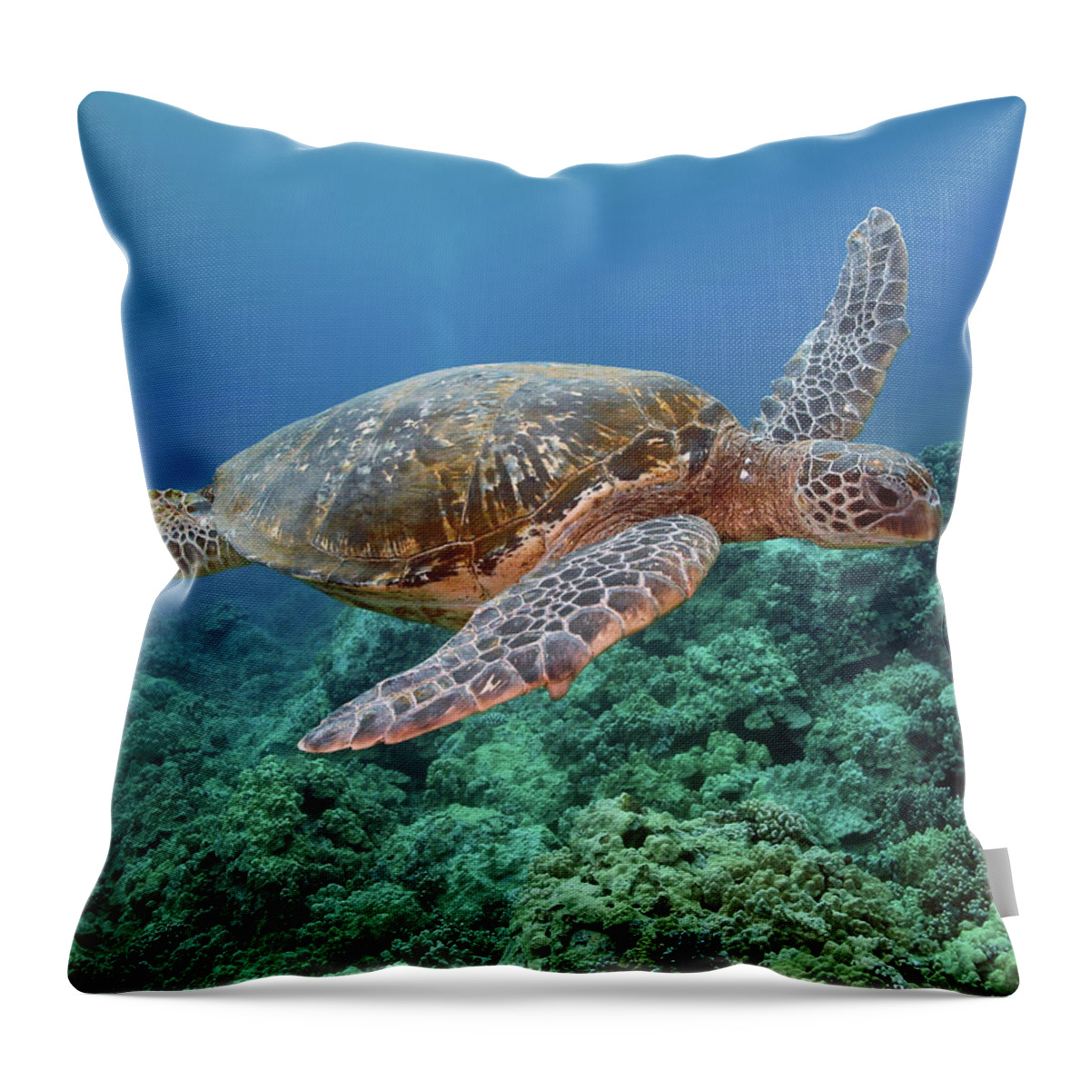 Underwater Throw Pillow featuring the photograph Hawaiian Green Sea Turtle, Kona, Hawaii by Stevedunleavy.com