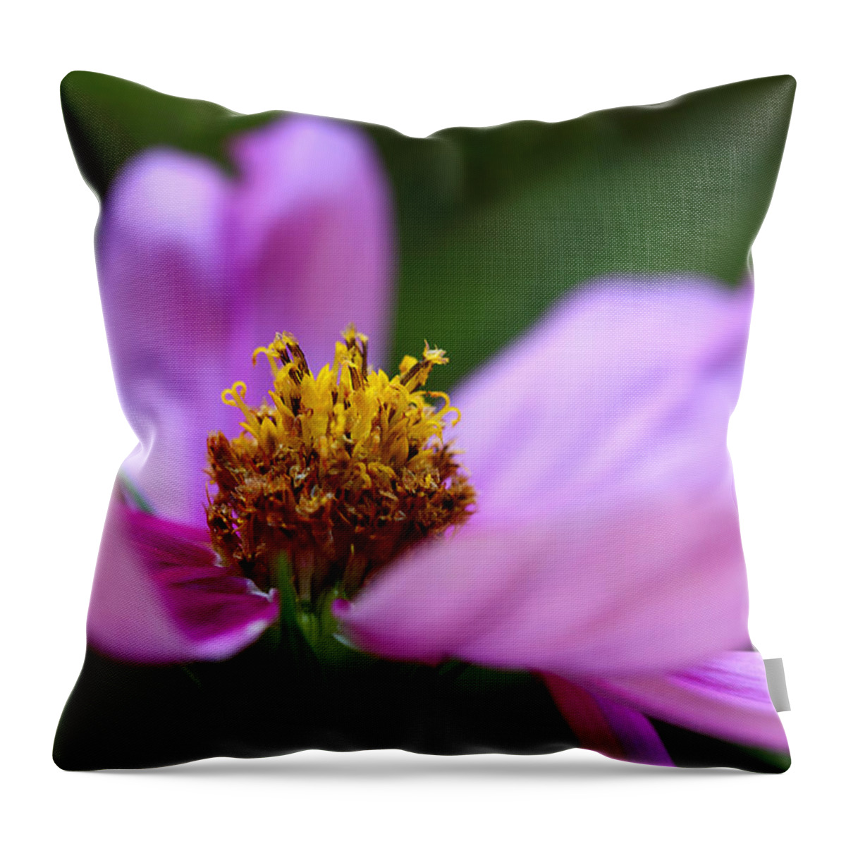 Cosmos Flower Throw Pillow featuring the photograph Heart Of Solitude by Michael Eingle