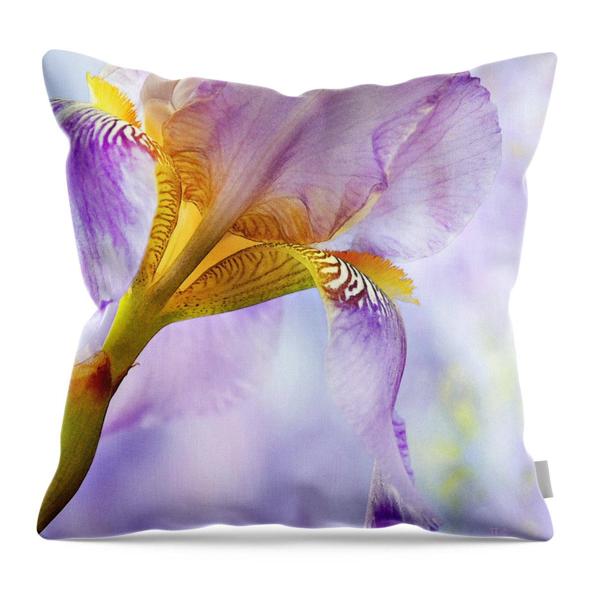 Floral Throw Pillow featuring the photograph Heavenly Iris 2 by Theresa Tahara