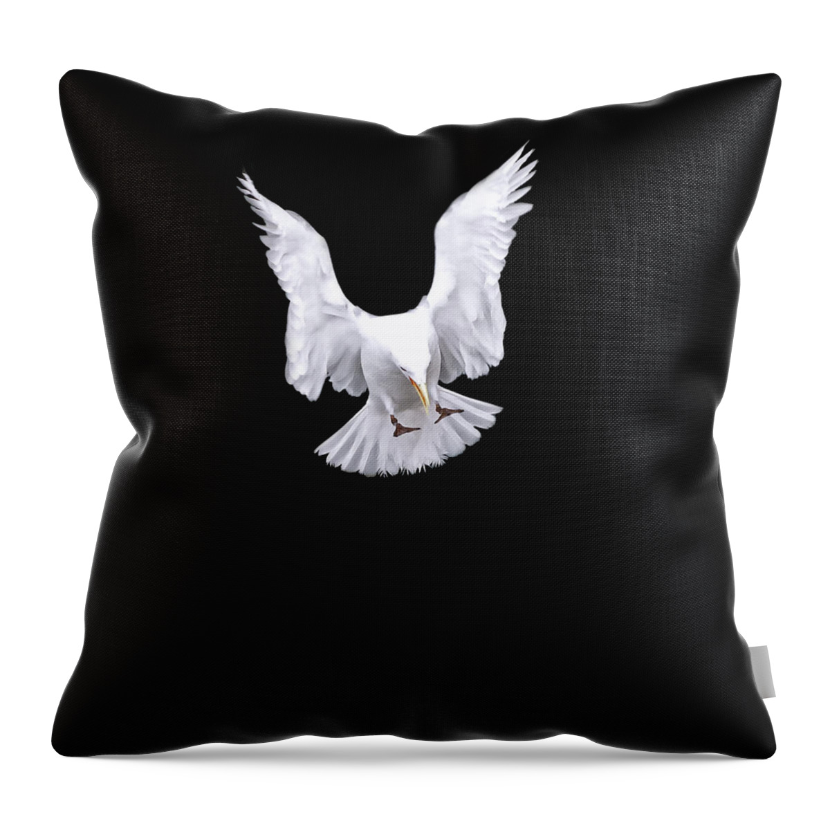 Crystal Yingling Throw Pillow featuring the photograph Heavens Rain by Ghostwinds Photography