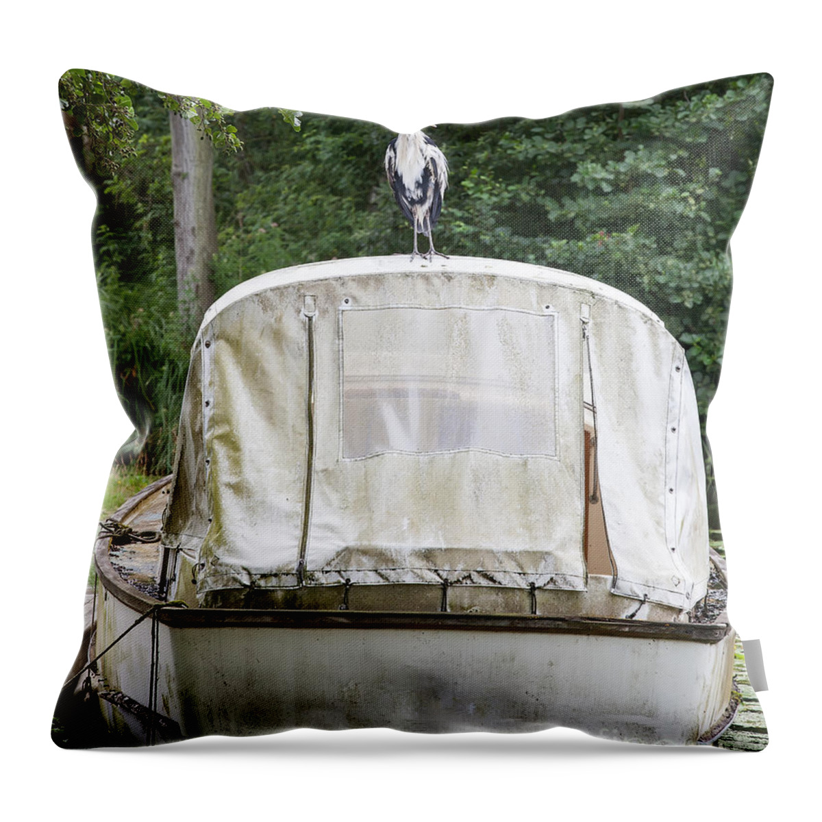 Heron Throw Pillow featuring the photograph Heron perched on boat by Simon Bratt