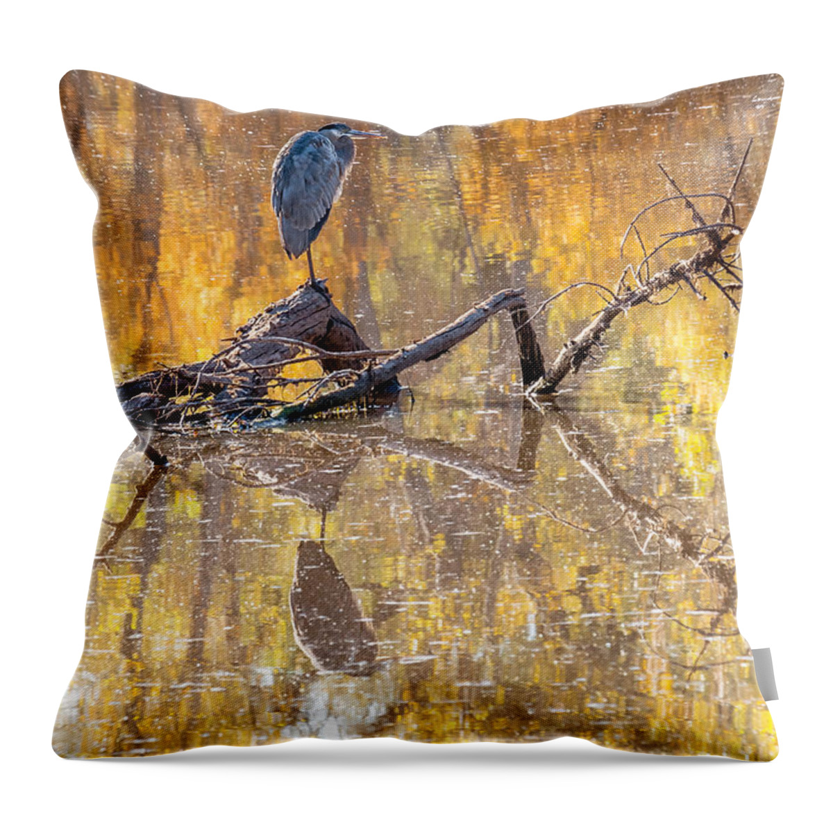 Al Andersen Throw Pillow featuring the photograph Heron Reflecting by Al Andersen