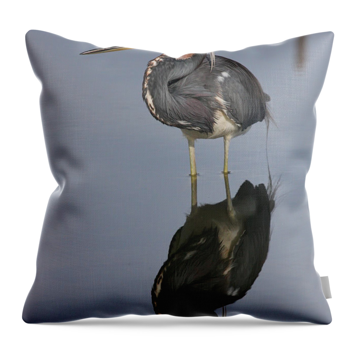 Heron Throw Pillow featuring the photograph Heron Reflections by Jayne Carney