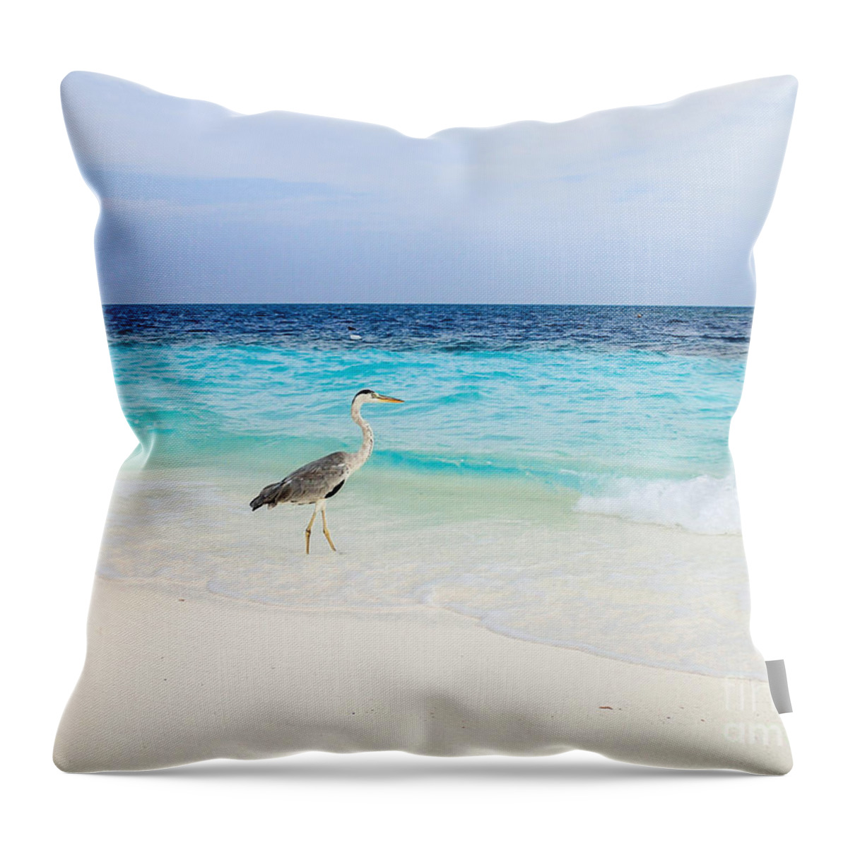 Animal Throw Pillow featuring the photograph Heron Takes A Walk At The Beach by Hannes Cmarits