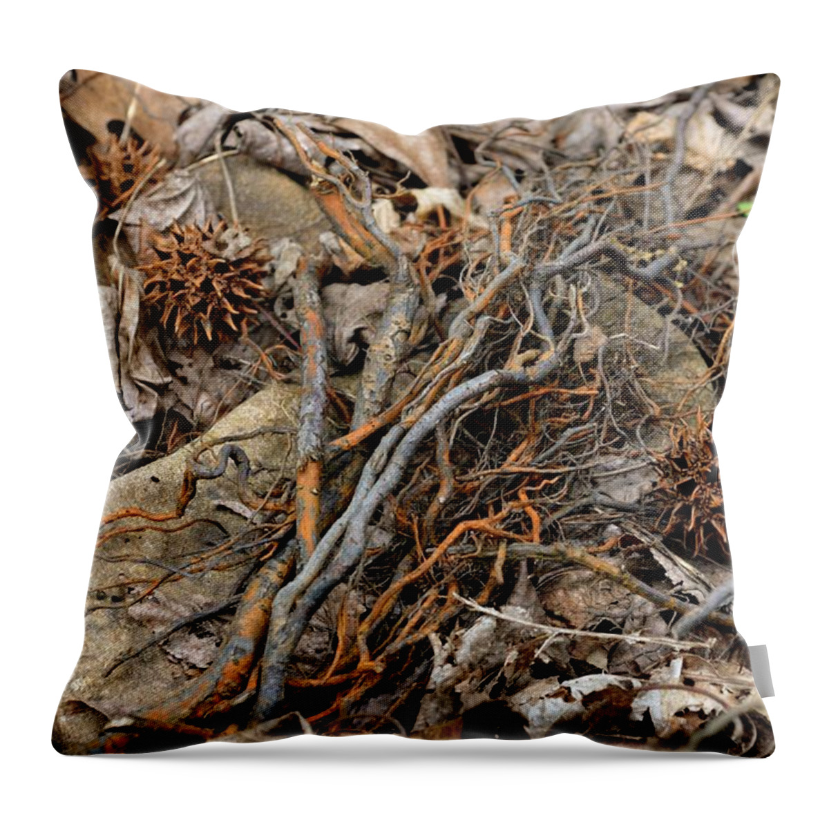Twigs Throw Pillow featuring the photograph Hideout Hollow 1 by Laureen Murtha Menzl