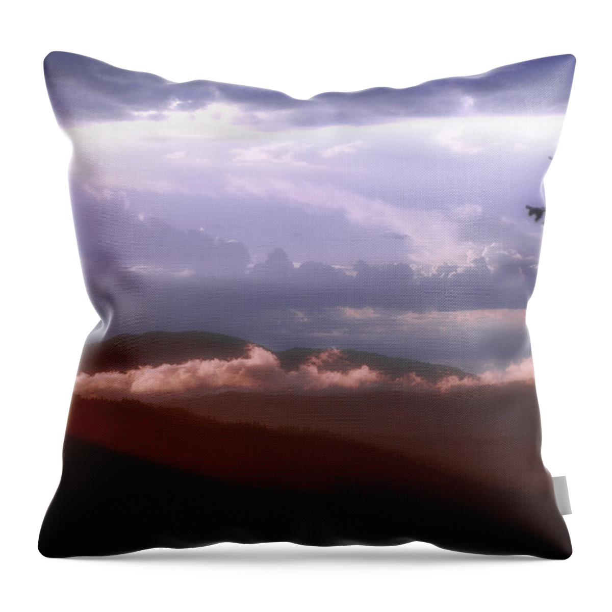 Landscape Throw Pillow featuring the photograph Chasing Heaven by Loni Collins