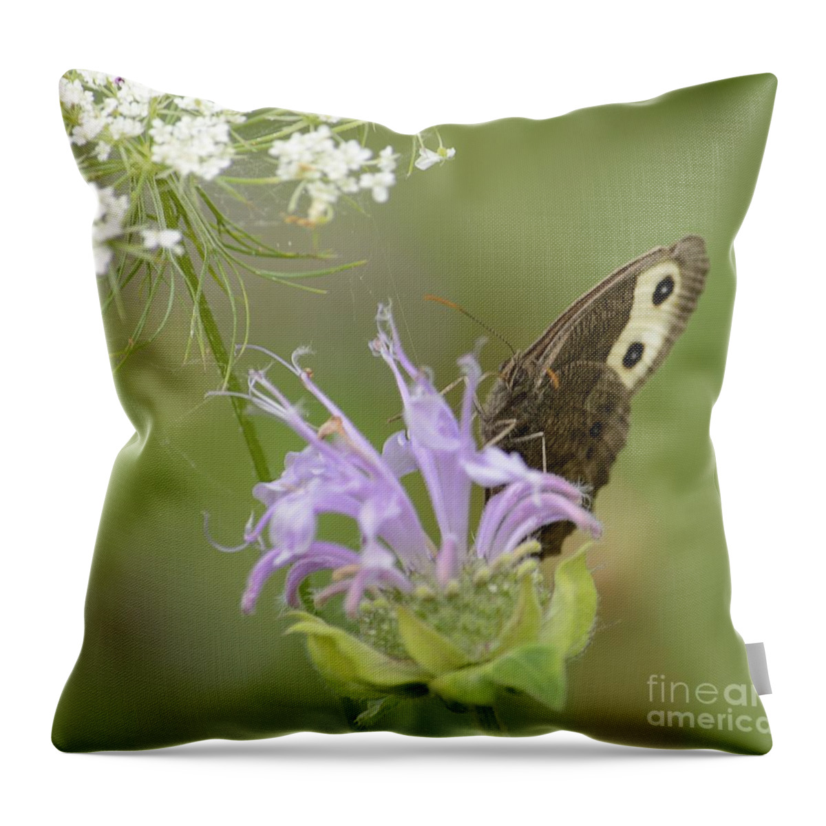 Mountain Meadow Throw Pillow featuring the photograph High Meadow Memory by Randy Bodkins