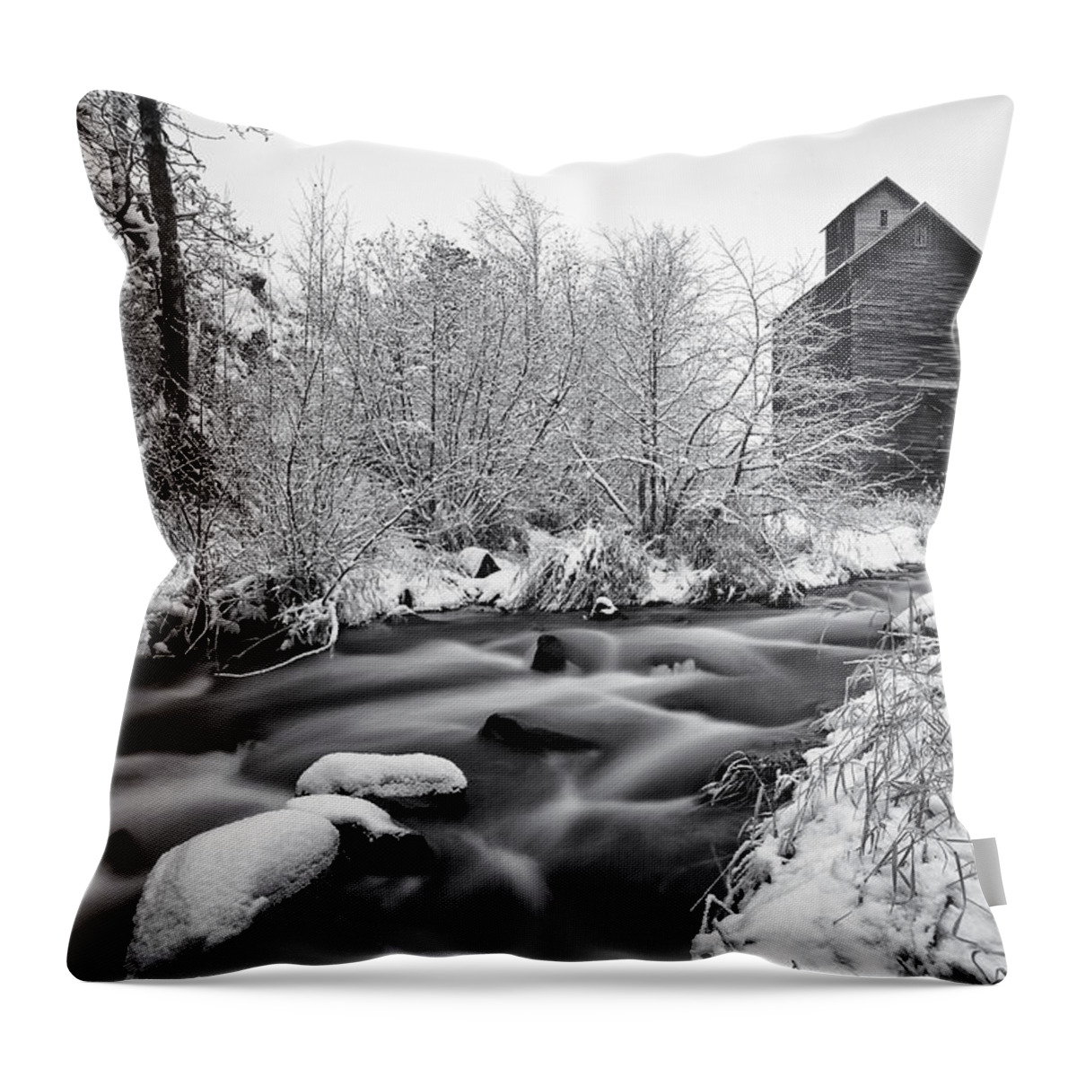 Boyd Throw Pillow featuring the photograph Historic Oregon by Darren White