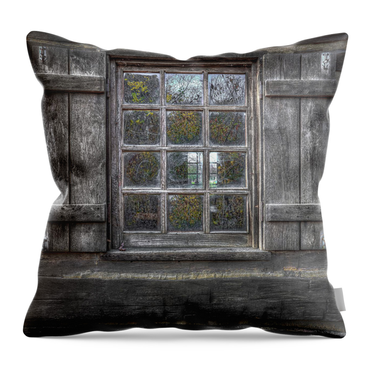 Alps Throw Pillow featuring the photograph Historical Window by Peter Lakomy