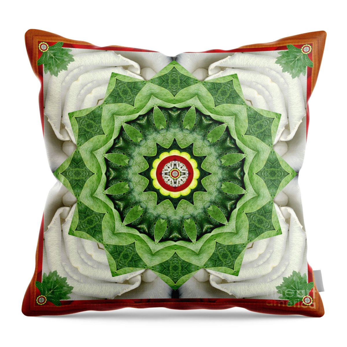 Mandalas Throw Pillow featuring the photograph Holy Days by Bell And Todd