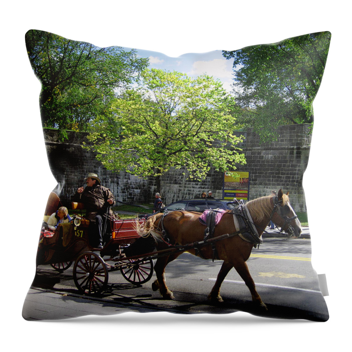 Horse Throw Pillow featuring the photograph Horse and Buggy by Nicky Jameson