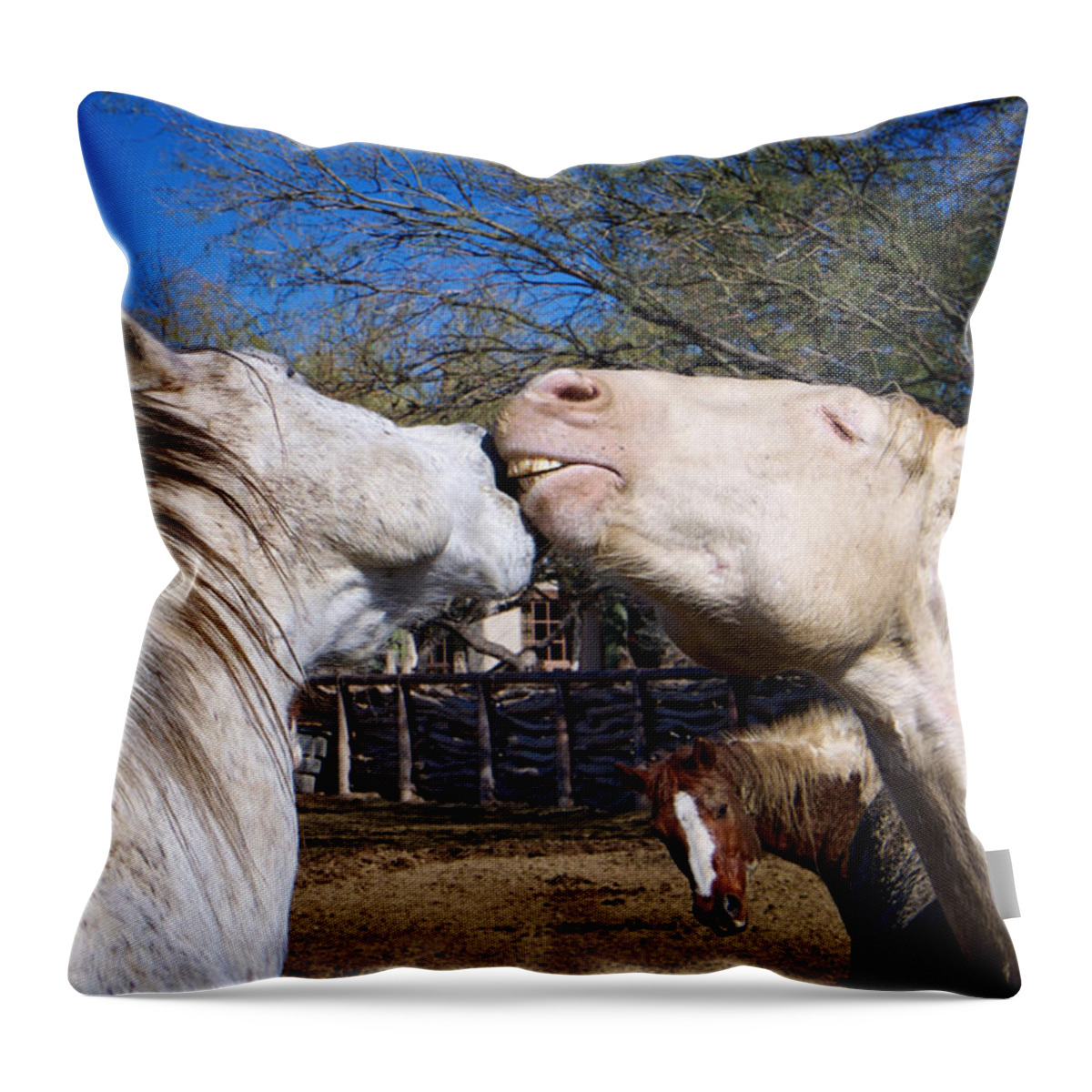 Animals Throw Pillow featuring the photograph Horse Emotion by Mary Lee Dereske