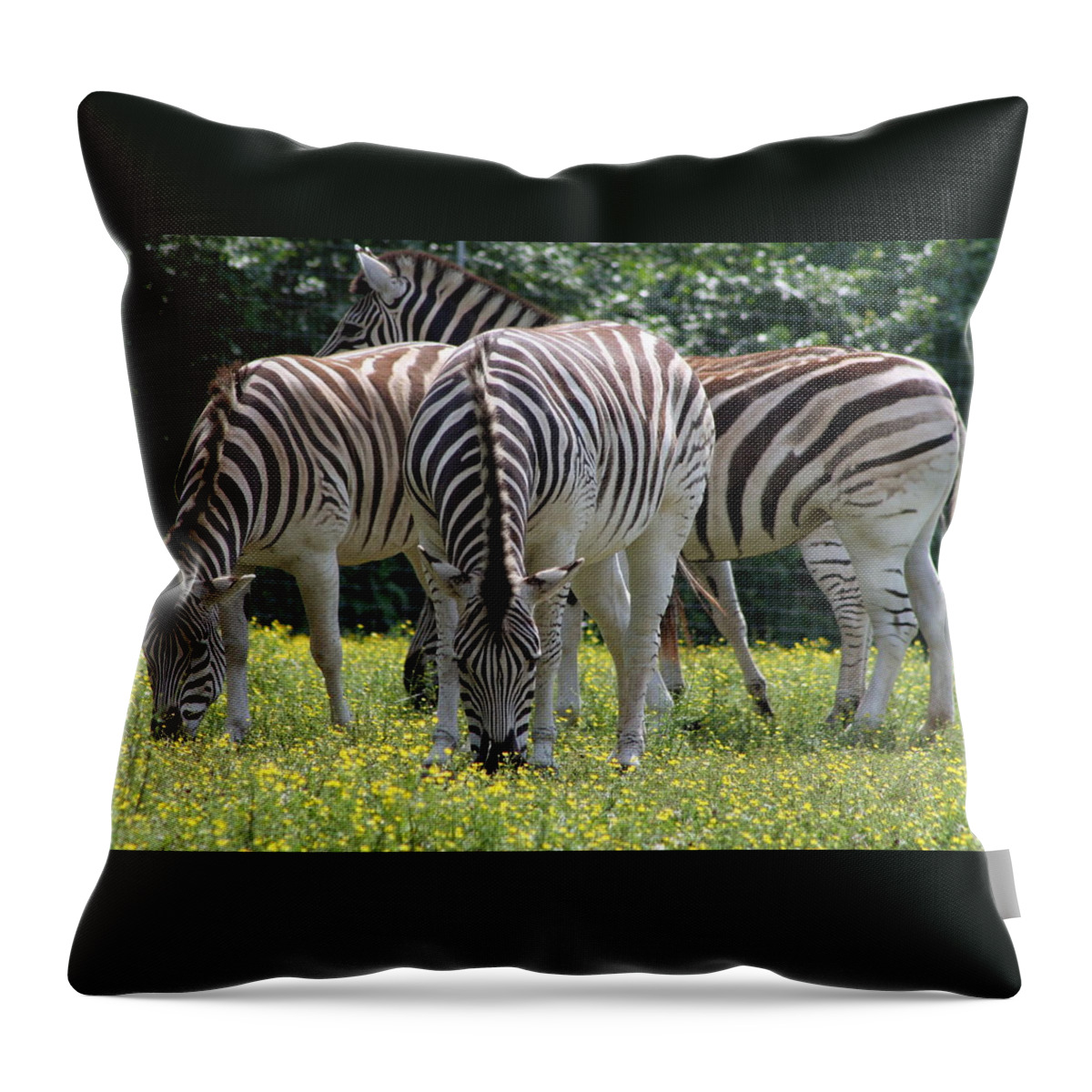 Zebra Throw Pillow featuring the photograph Four Zebras Grazing by Valerie Collins