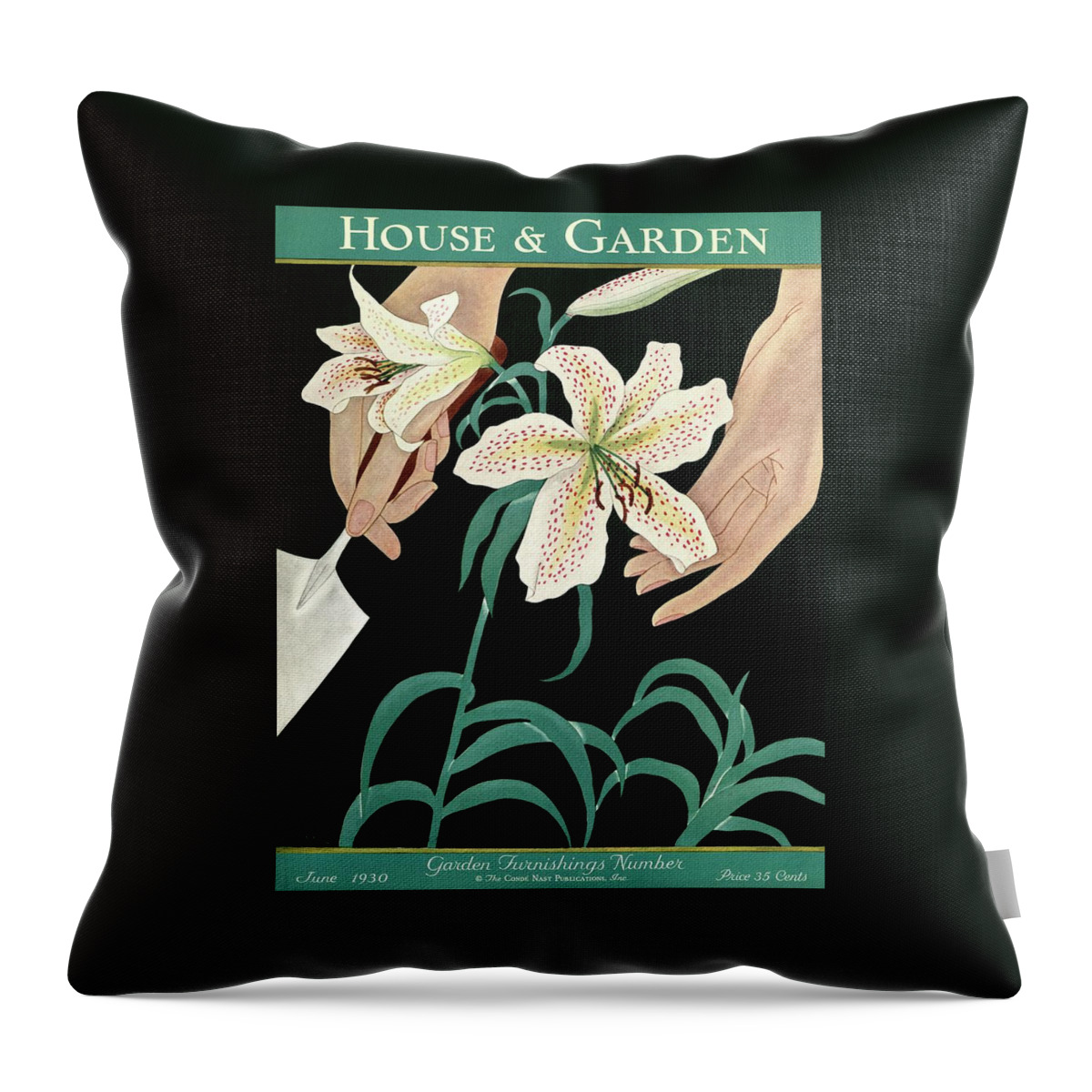 House And Garden Garden Furnishings Number Throw Pillow