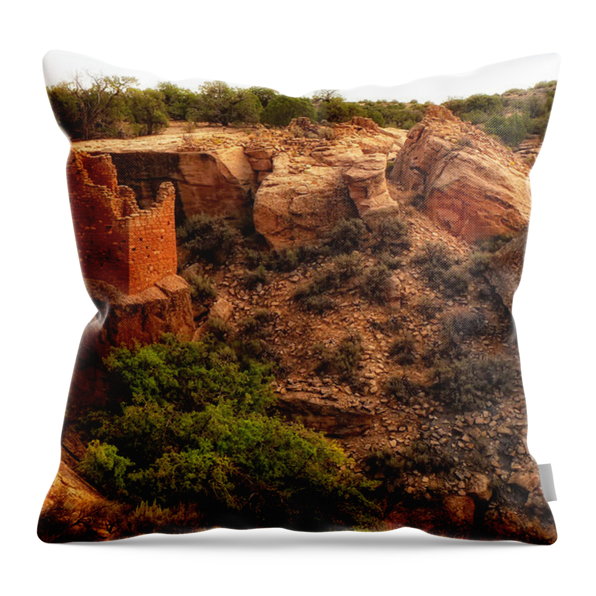 Sherry Day Throw Pillow featuring the photograph Hovenweep Dwelling by Ghostwinds Photography