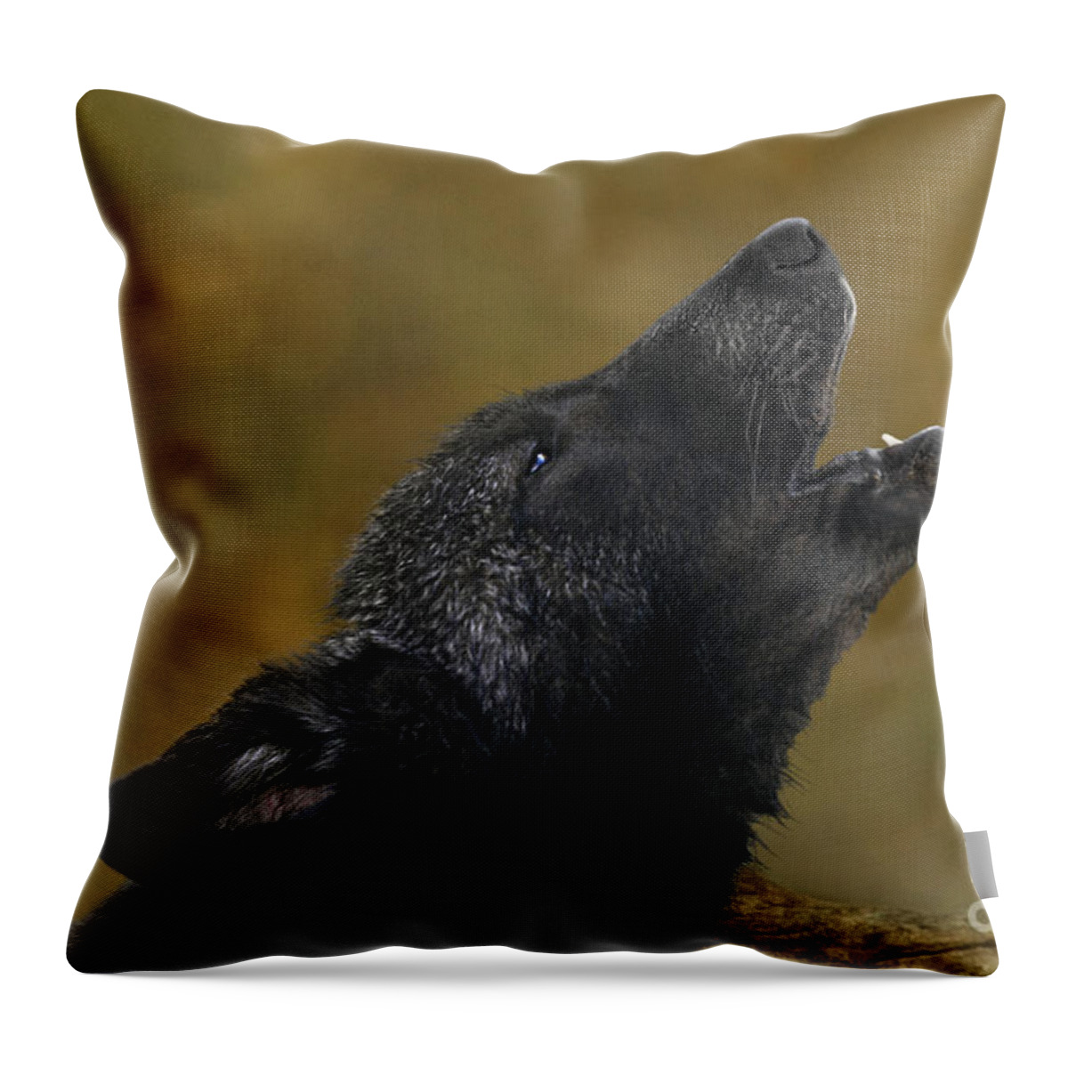 Gray Wolf Throw Pillow featuring the photograph Howling Gray Wolf Pup Endangered Species Wildlife Rescue by Dave Welling