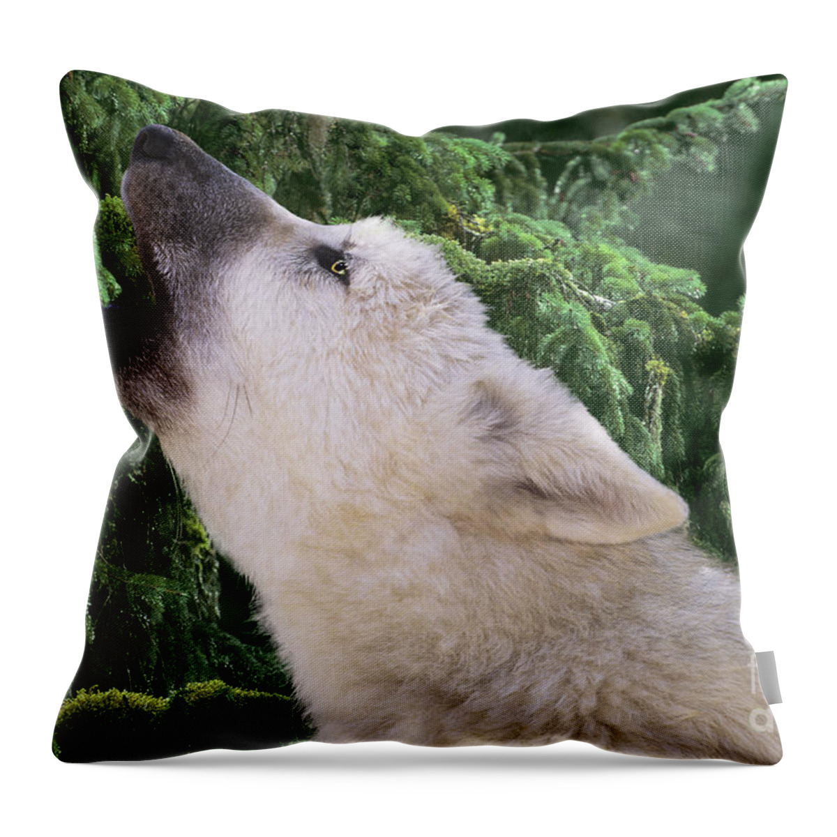 Arctic Wolf Throw Pillow featuring the photograph Howlling Arctic Wolf Pup Endangered Species Wildlife Rescue by Dave Welling