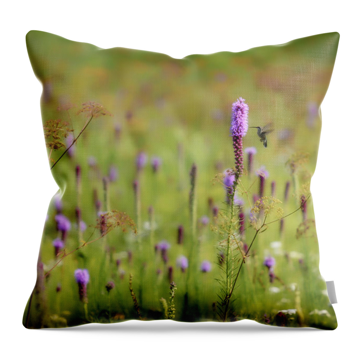 Presson-oglesby Preserve Throw Pillow featuring the photograph Hummingbird Dream by James Barber