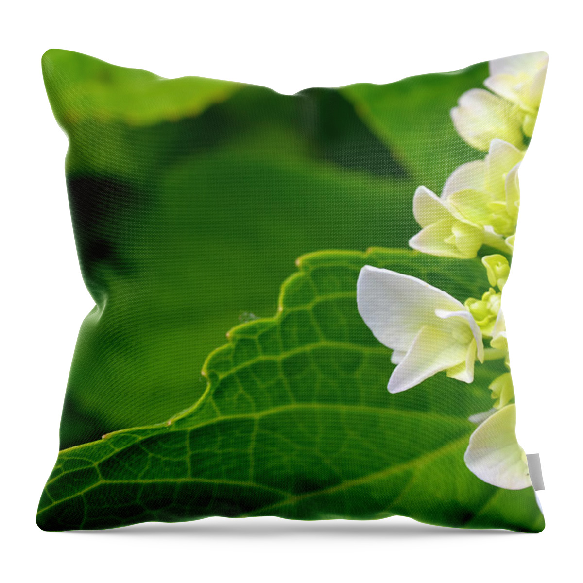 Hydrangea Throw Pillow featuring the photograph Hydrangea #1 by Beth Sawickie
