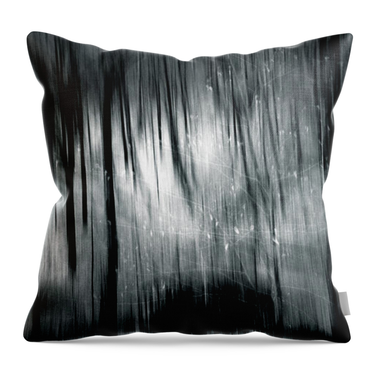 Forest Throw Pillow featuring the photograph Voyage by Dorit Fuhg