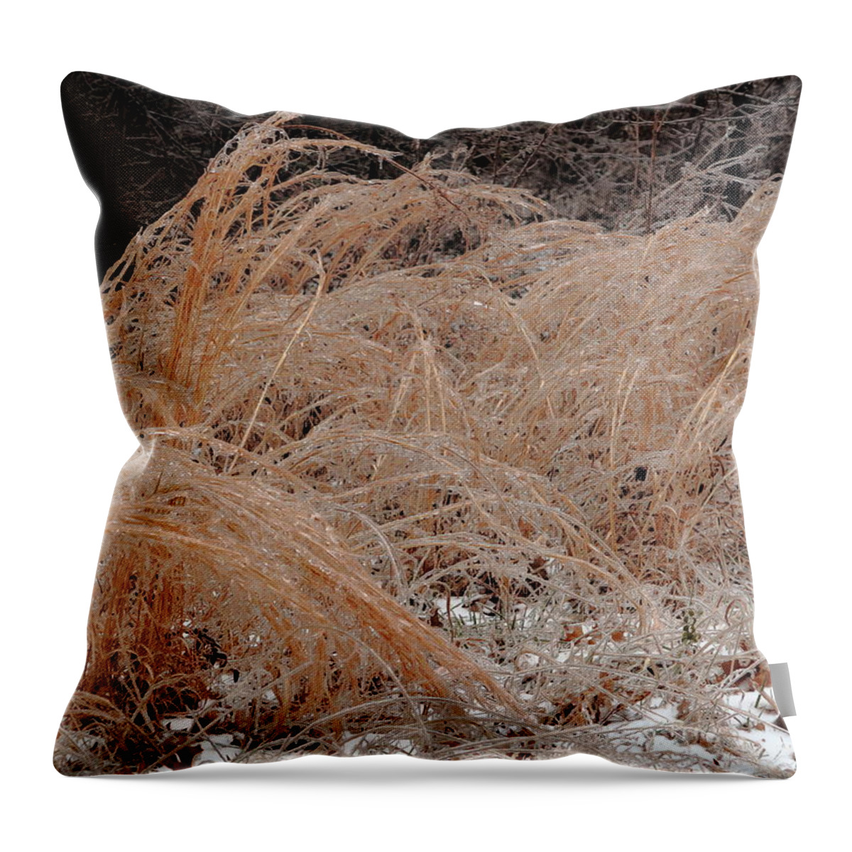 Ice Throw Pillow featuring the photograph Ice And Dry Grass by Daniel Reed