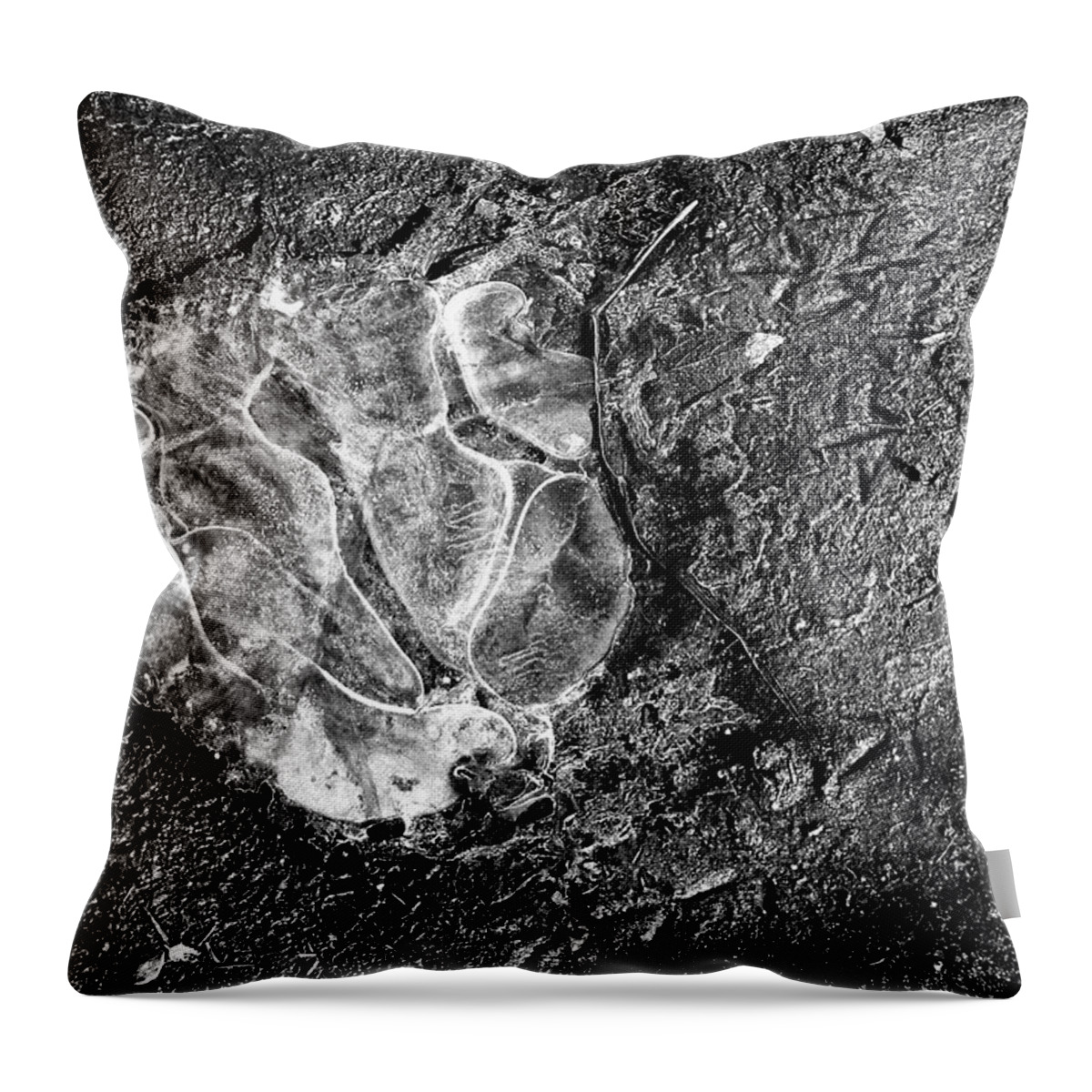 Ice Photograph Throw Pillow featuring the photograph Ice Graffiti by Lucy VanSwearingen