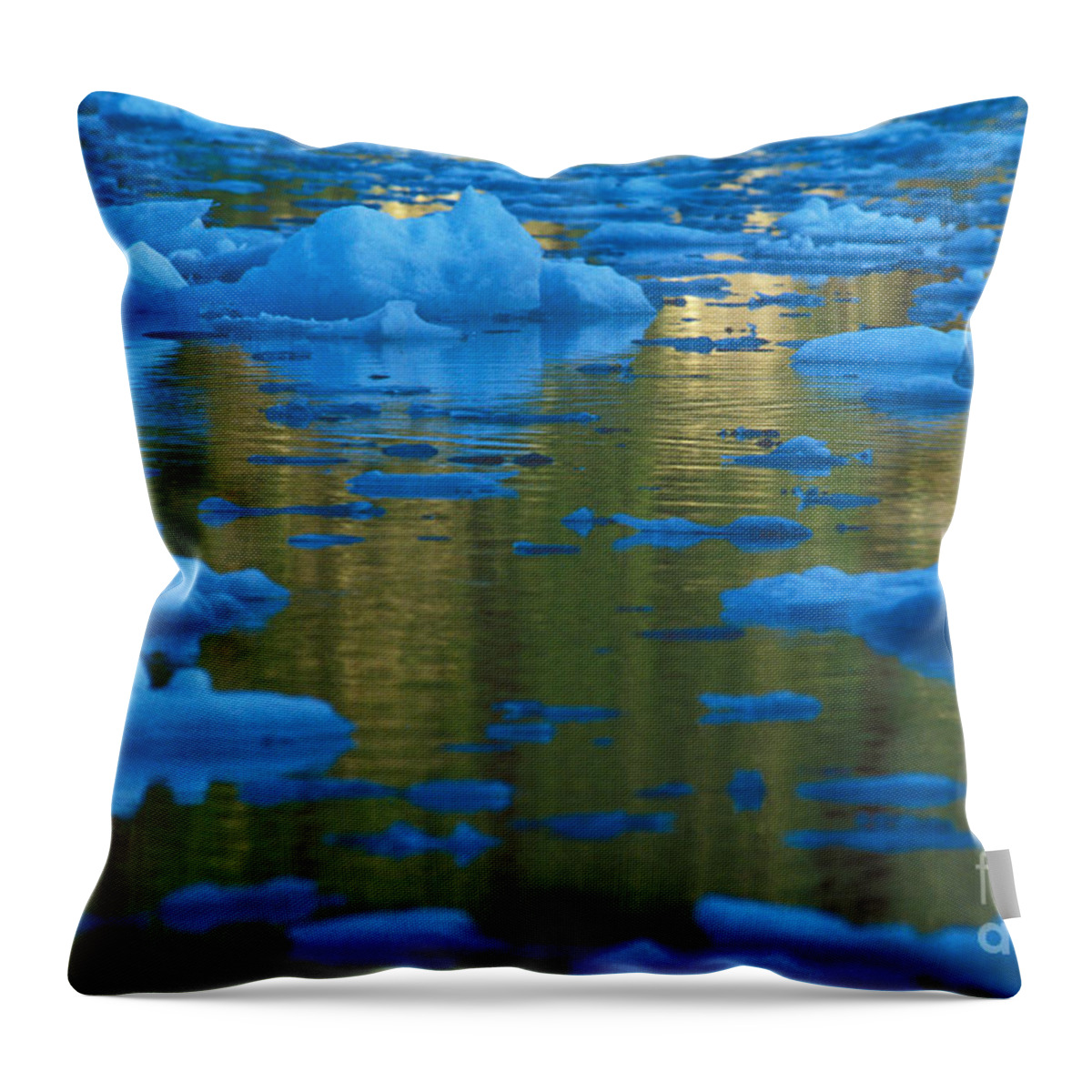 Glacier Throw Pillow featuring the photograph Icebergs, Leconte Bay, Alaska by Ron Sanford