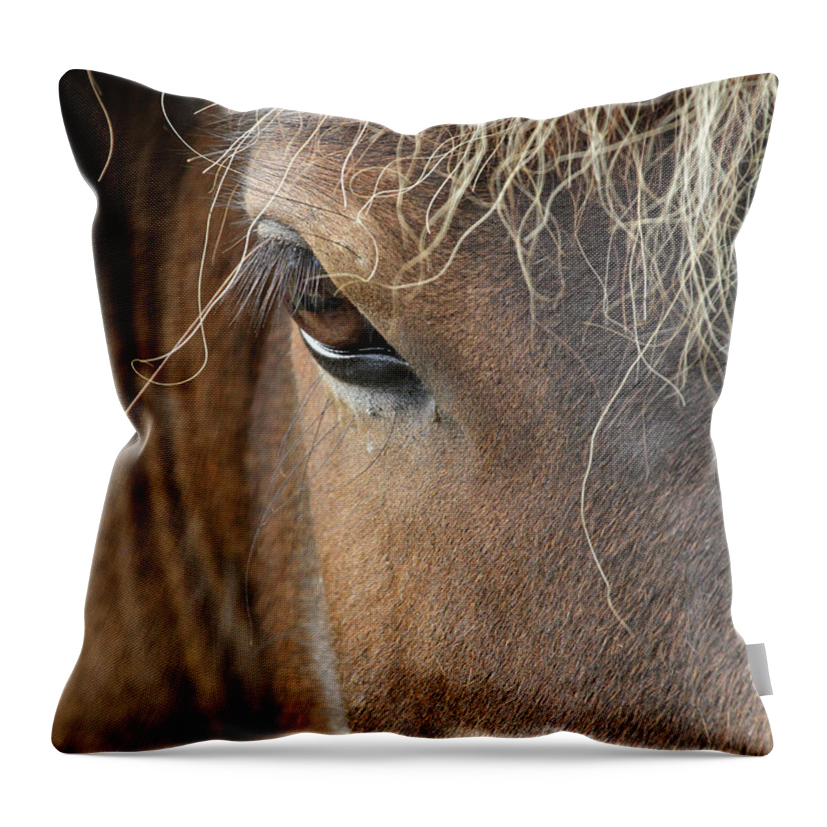 Horse Throw Pillow featuring the photograph Icelandic Horse by Photographies Olivier Ghettem