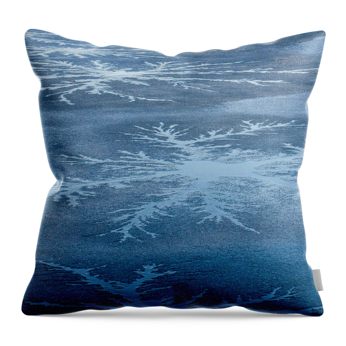 Ice Throw Pillow featuring the photograph Icy Designs by Cathy Kovarik