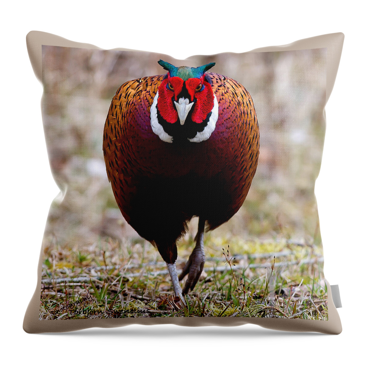 I'm Coming To Get You! Throw Pillow featuring the photograph I'm coming to get you by Torbjorn Swenelius
