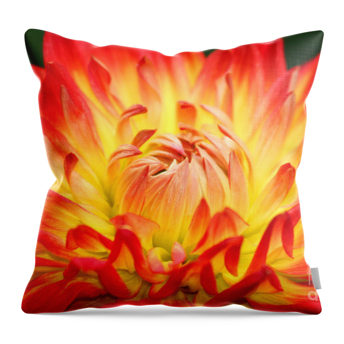 Flower Throw Pillow featuring the photograph Img 0023 Flor En Rojo Detalle by Francisco Pulido