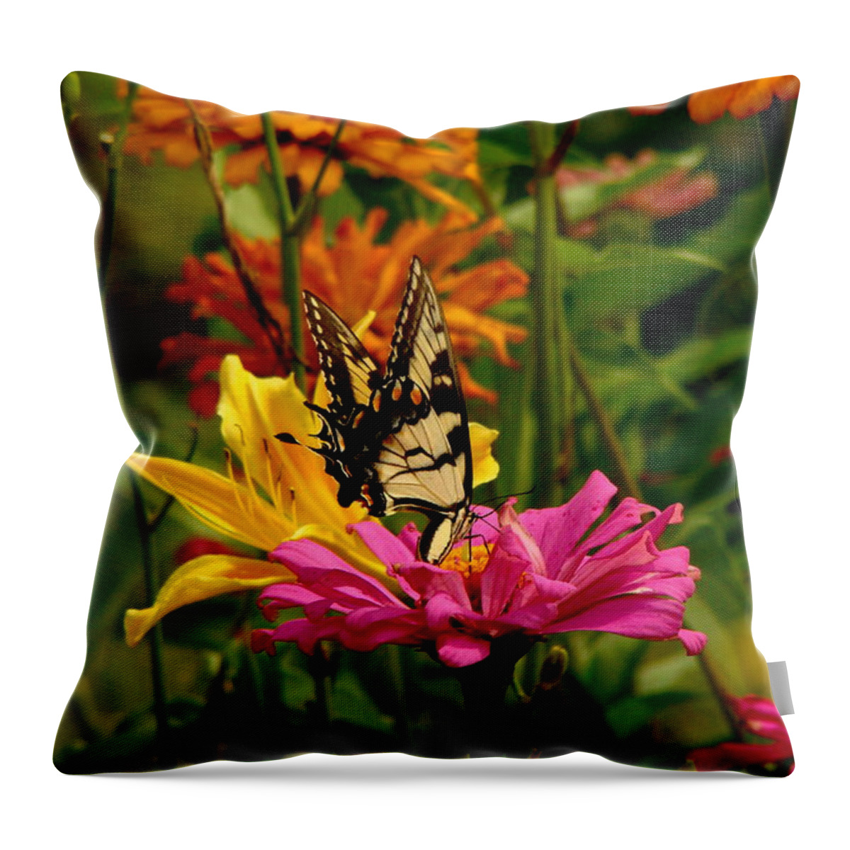 Fine Art Throw Pillow featuring the photograph In Another World by Rodney Lee Williams