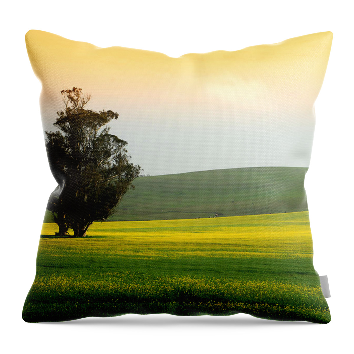 Mustard Flowers Throw Pillow featuring the photograph In Fields Of Gold by Donna Blackhall