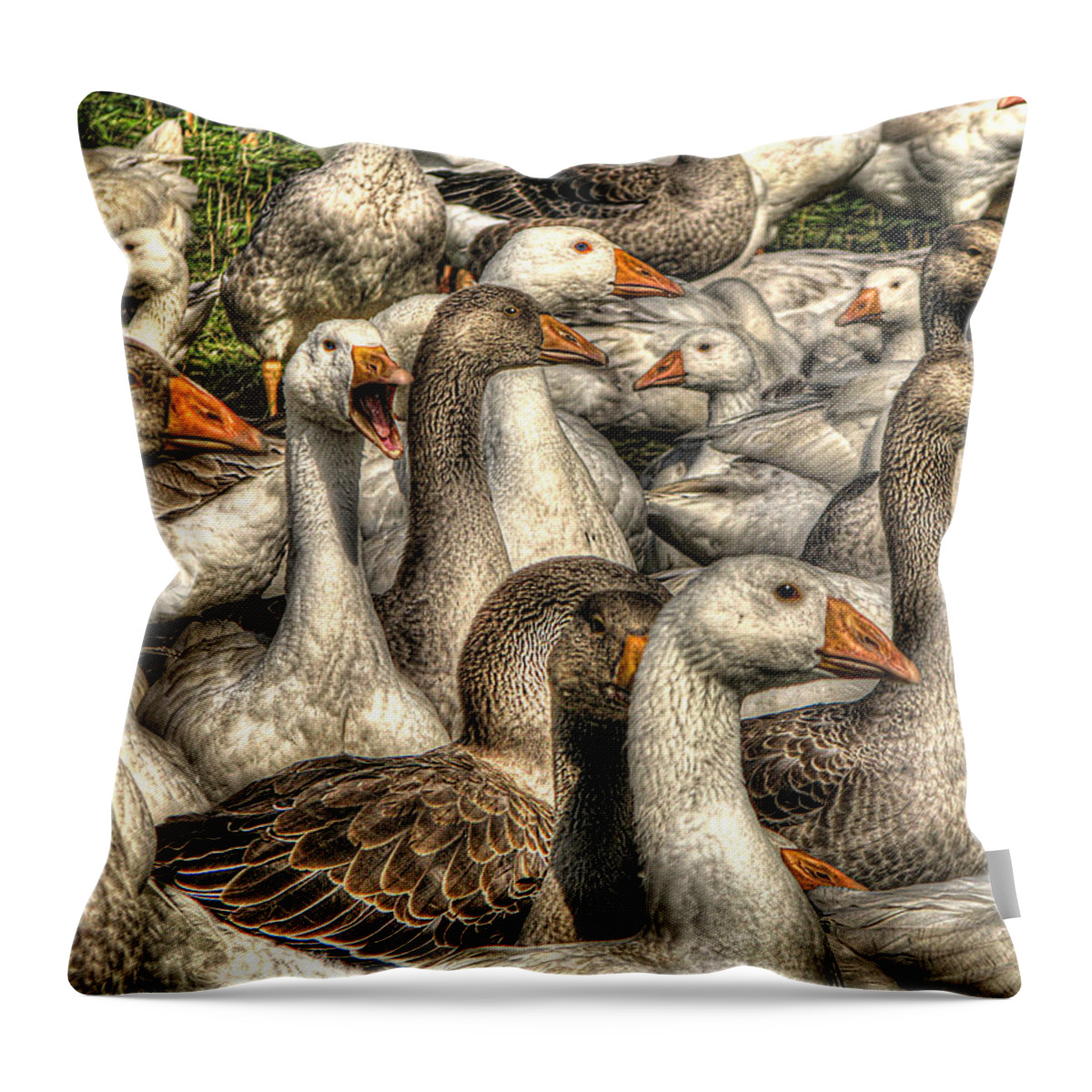 Geese Throw Pillow featuring the photograph In My Humble Opinion by William Fields