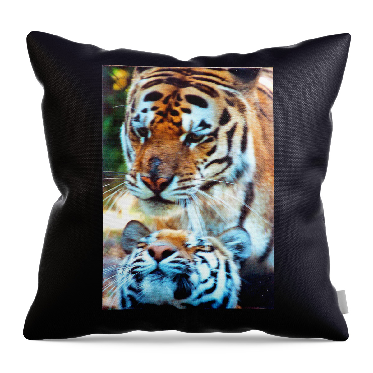Film Throw Pillow featuring the photograph In the Moment by Jennifer Robin