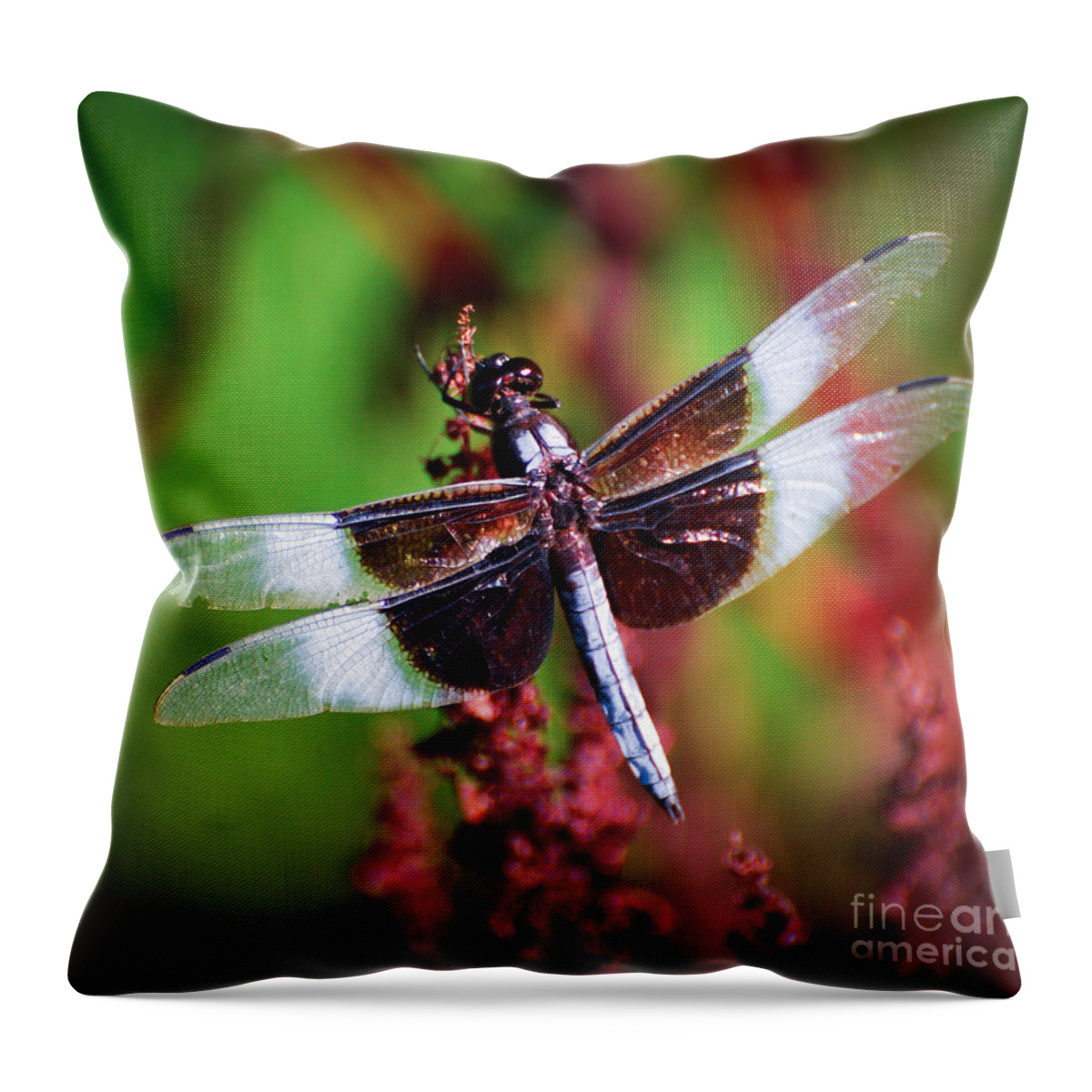Dragonfly Throw Pillow featuring the photograph In The Red by Kerri Farley