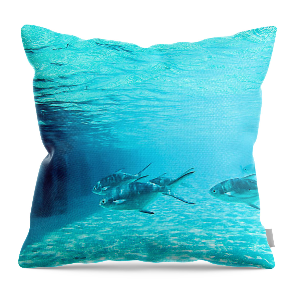 Animal Throw Pillow featuring the photograph In The Turquoise Water by Hannes Cmarits
