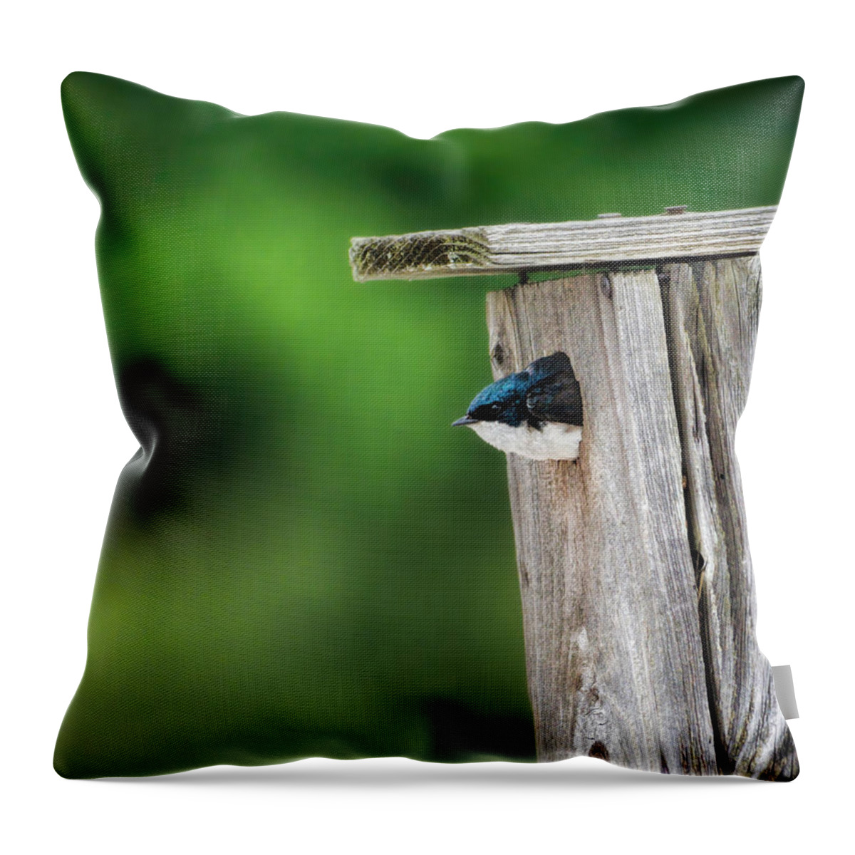 Bird Throw Pillow featuring the photograph Indecision by Jai Johnson