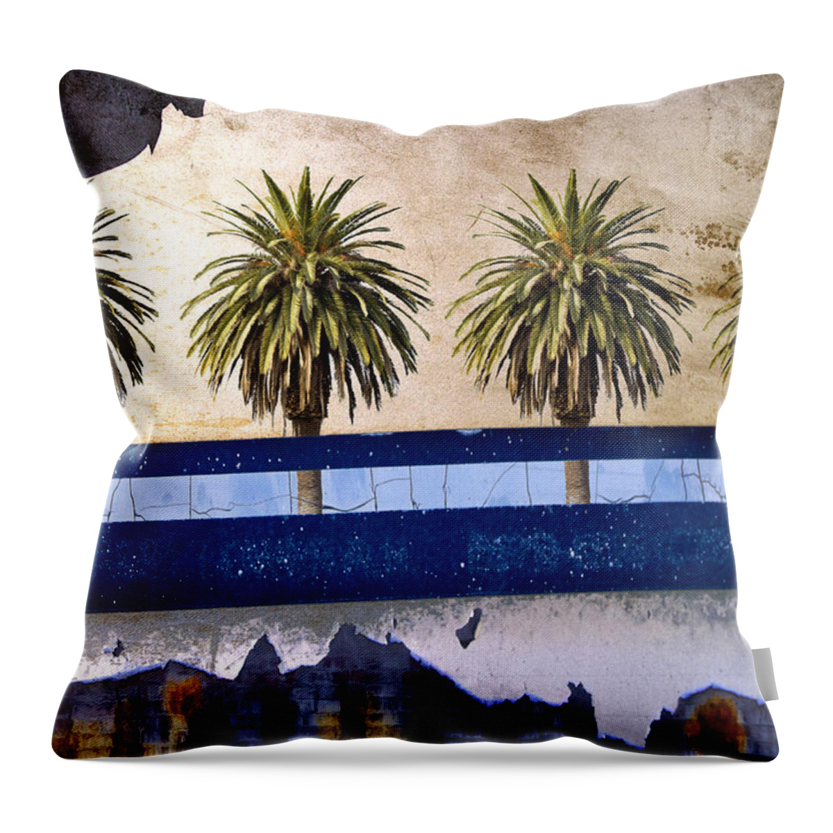 Indio Throw Pillow featuring the photograph Indio by Carol Leigh
