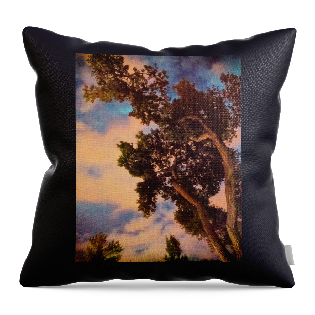 Landscapes Throw Pillow featuring the photograph Inspired by Maxfield Parrish by Mary Lee Dereske