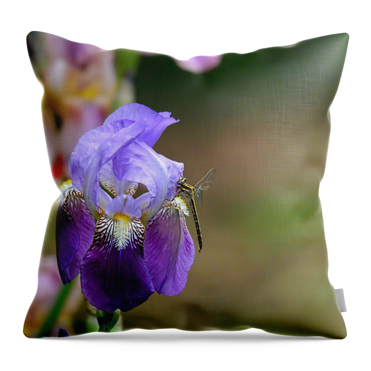 Iris Germanica Throw Pillow featuring the photograph Iris and the Dragonfly 1 by Jai Johnson