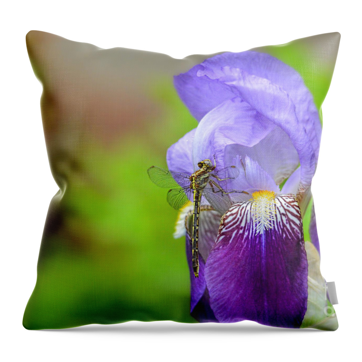 Iris Germanica Throw Pillow featuring the photograph Iris and the Dragonfly 5 by Jai Johnson