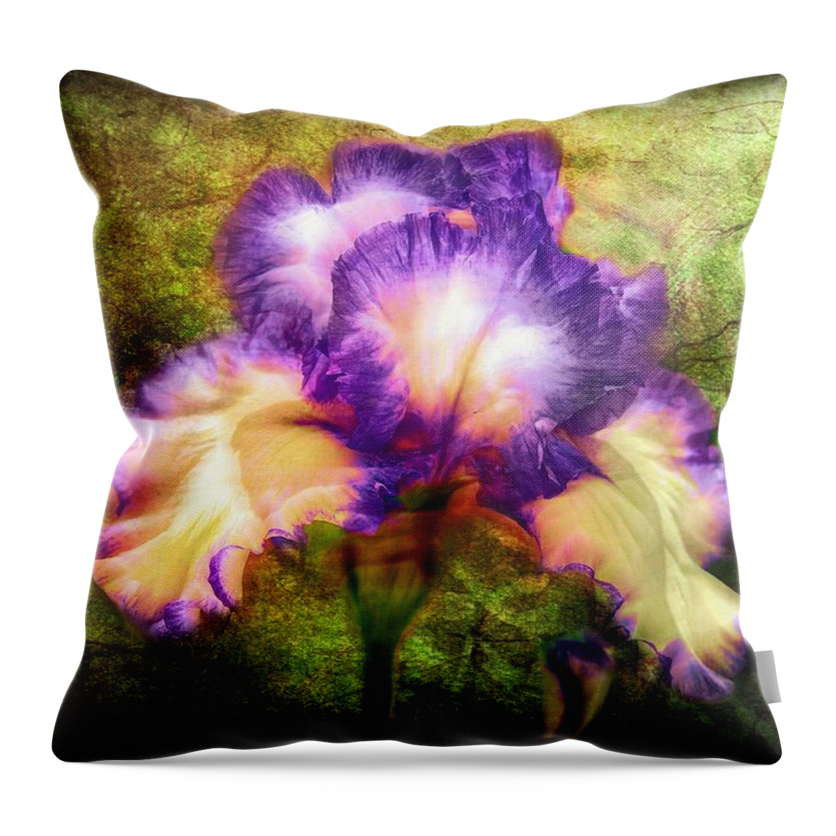 Iris Throw Pillow featuring the painting Iris Beauty by Lilia D