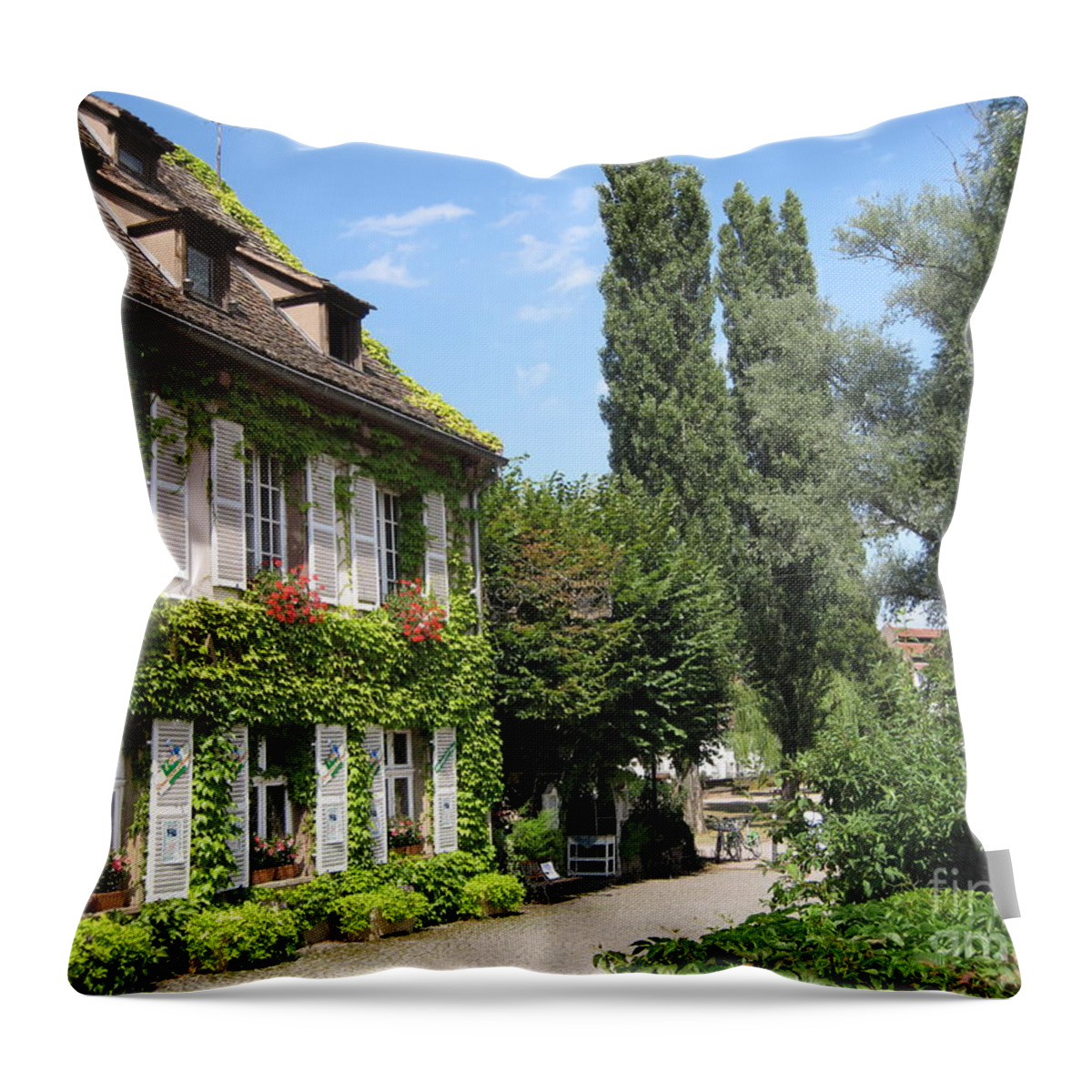 Timber Throw Pillow featuring the photograph Ivy covered house in Strasbourg France by Amanda Mohler