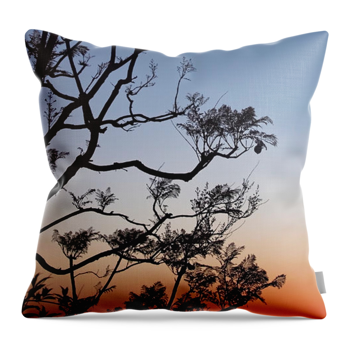 Jacarandas Throw Pillow featuring the photograph Jacaranda Sunset by Rona Black