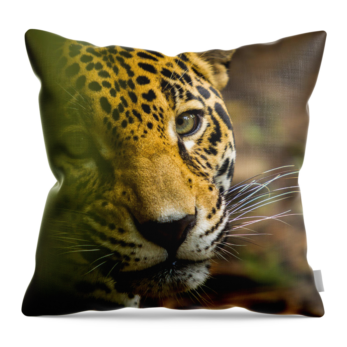 Jaguar Throw Pillow featuring the photograph Jaguar by Raul Rodriguez