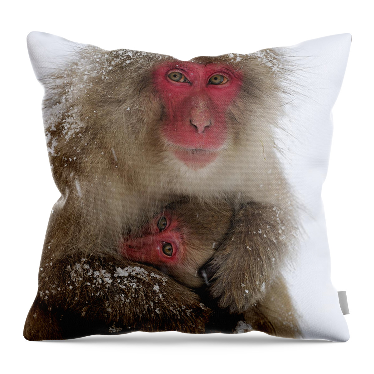 Thomas Marent Throw Pillow featuring the photograph Japanese Macaque Warming Baby by Thomas Marent